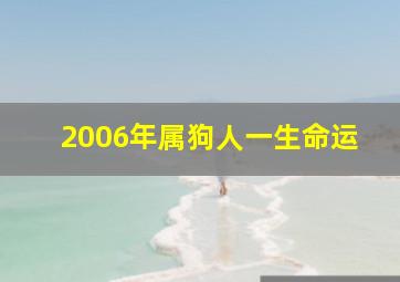 2006年属狗人一生命运