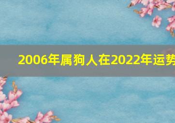 2006年属狗人在2022年运势