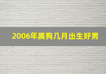 2006年属狗几月出生好男