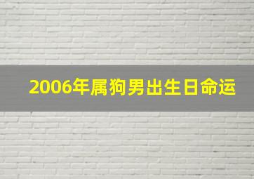 2006年属狗男出生日命运