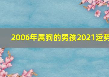 2006年属狗的男孩2021运势