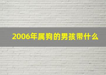 2006年属狗的男孩带什么