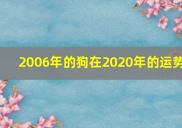 2006年的狗在2020年的运势