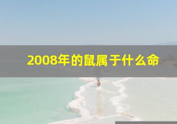 2008年的鼠属于什么命