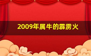 2009年属牛的霹雳火