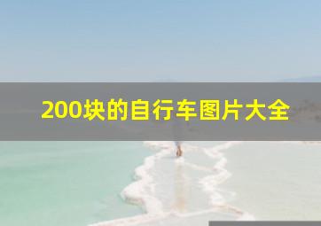 200块的自行车图片大全