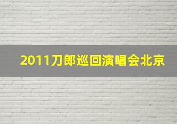 2011刀郎巡回演唱会北京