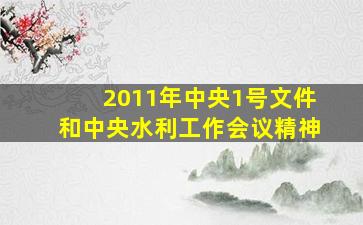 2011年中央1号文件和中央水利工作会议精神