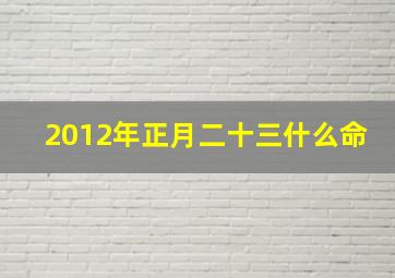 2012年正月二十三什么命