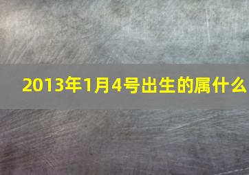 2013年1月4号出生的属什么