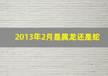 2013年2月是属龙还是蛇