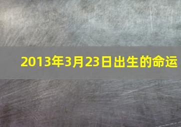 2013年3月23日出生的命运