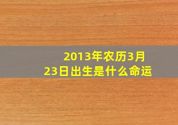 2013年农历3月23日出生是什么命运