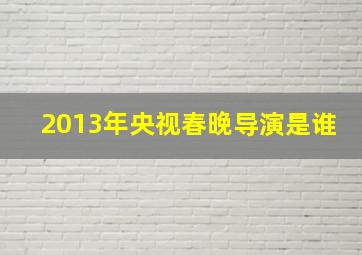 2013年央视春晚导演是谁