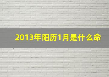 2013年阳历1月是什么命