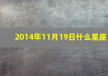 2014年11月19日什么星座