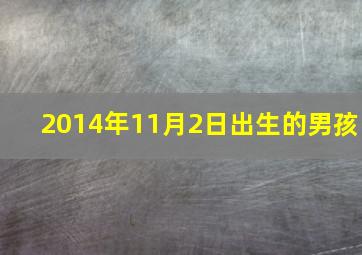 2014年11月2日出生的男孩