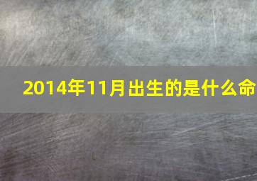 2014年11月出生的是什么命