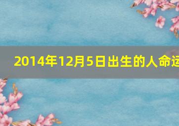 2014年12月5日出生的人命运