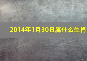 2014年1月30日属什么生肖