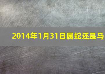 2014年1月31日属蛇还是马