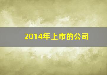 2014年上市的公司