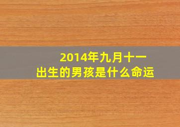 2014年九月十一出生的男孩是什么命运