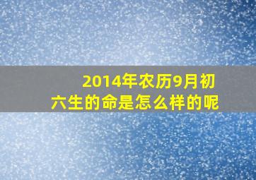 2014年农历9月初六生的命是怎么样的呢