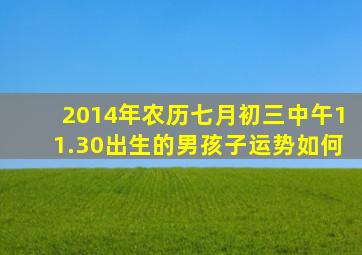 2014年农历七月初三中午11.30出生的男孩子运势如何