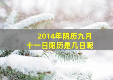 2014年阴历九月十一日阳历是几日呢