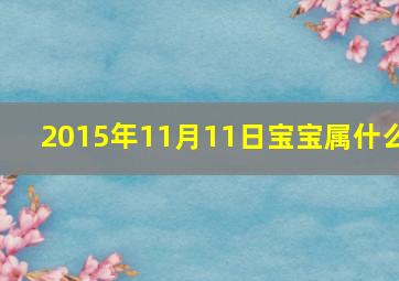 2015年11月11日宝宝属什么