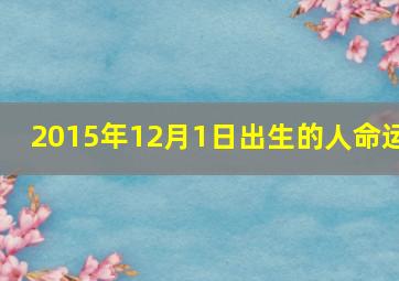 2015年12月1日出生的人命运