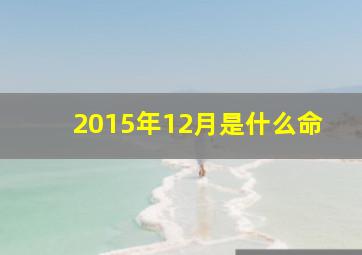 2015年12月是什么命