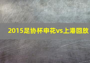 2015足协杯申花vs上港回放