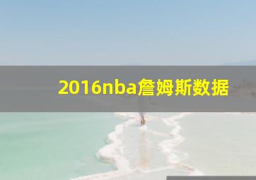 2016nba詹姆斯数据