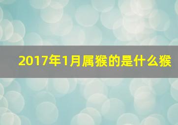 2017年1月属猴的是什么猴