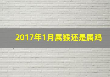 2017年1月属猴还是属鸡