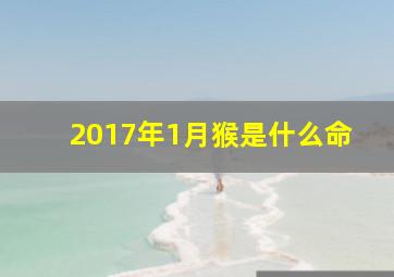 2017年1月猴是什么命