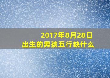 2017年8月28日出生的男孩五行缺什么