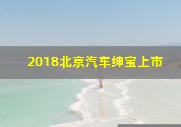 2018北京汽车绅宝上市