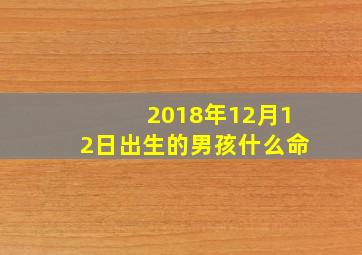 2018年12月12日出生的男孩什么命