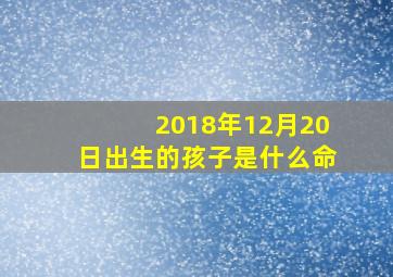 2018年12月20日出生的孩子是什么命