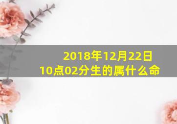 2018年12月22日10点02分生的属什么命