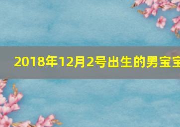 2018年12月2号出生的男宝宝