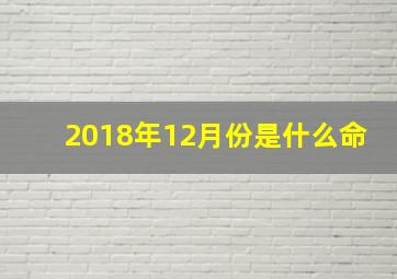 2018年12月份是什么命