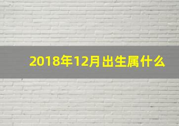 2018年12月出生属什么