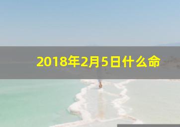 2018年2月5日什么命