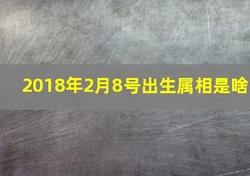 2018年2月8号出生属相是啥