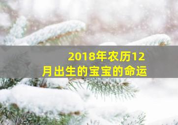 2018年农历12月出生的宝宝的命运