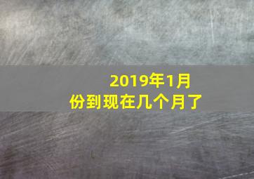 2019年1月份到现在几个月了